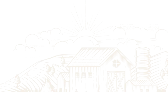 provide-one-shape-1 provide-one-shape-1