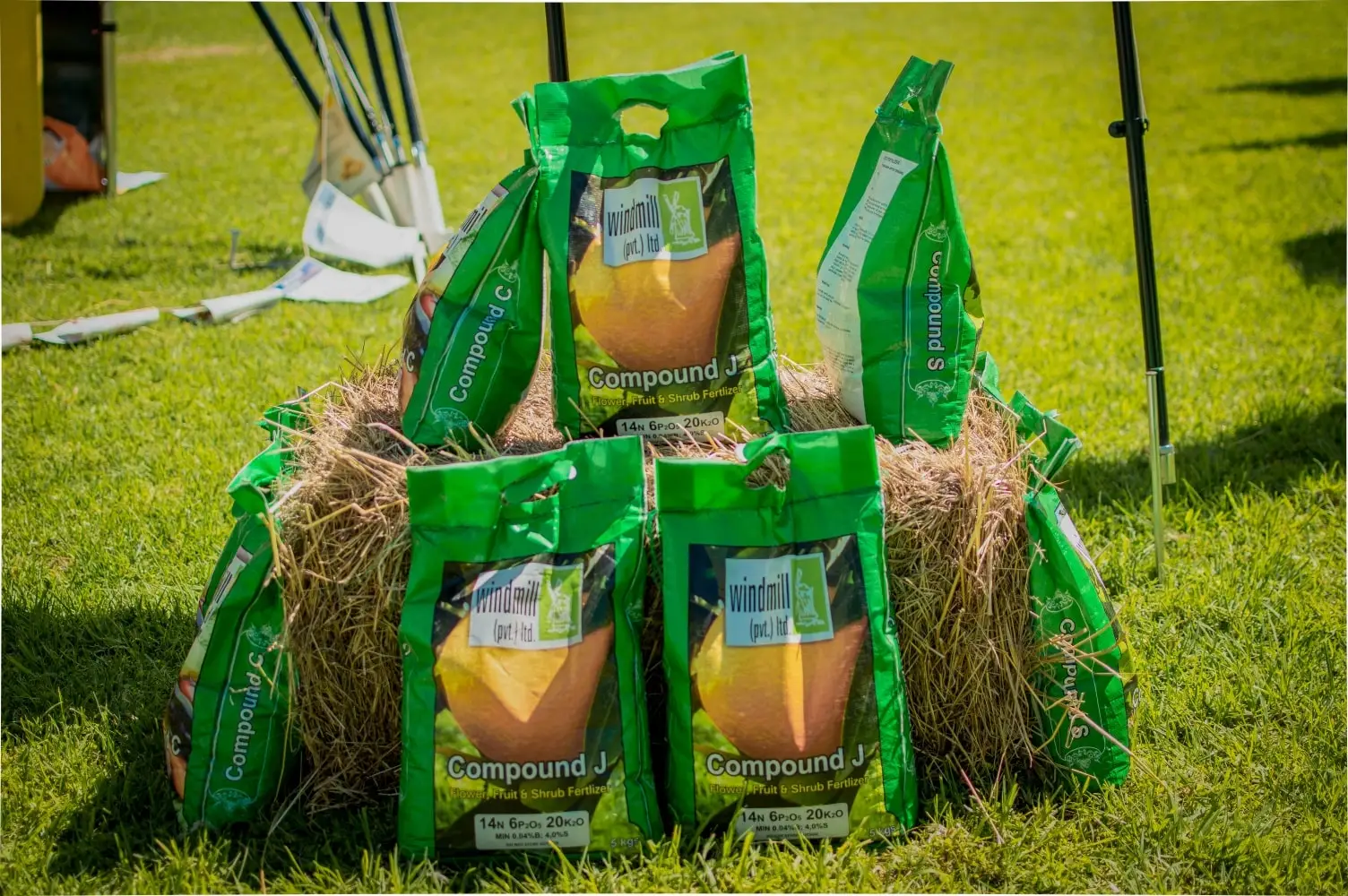 473096968_2263526744017069_1639675562578677454_n