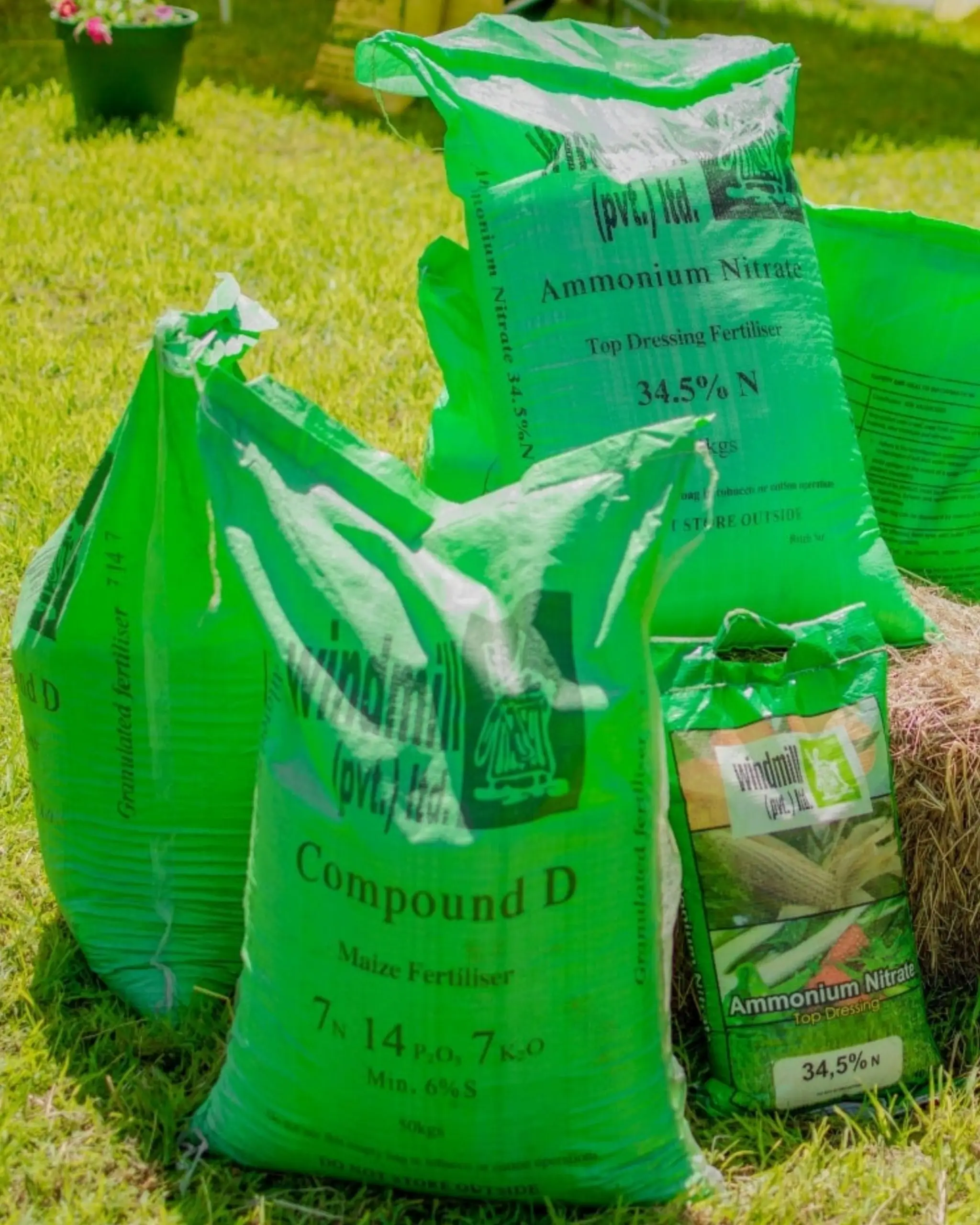 We Provide We Provide